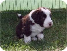 09-08-15 DG 17 - Monty r