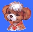 hund_mit_herzchen_anhanger.jpg