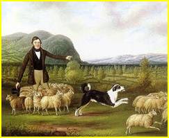 altes Gemälde, Border mit Schafen.jpg