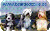 beardedcollie.de mT.jpg