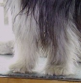 monty, 4 Wochen