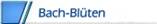 Bach-Blüten.jpg