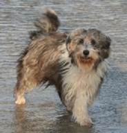 oldie im Wasser - rkio