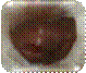 Pigment
