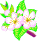 Blüte