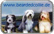 beardedcollie.de mT.jpg