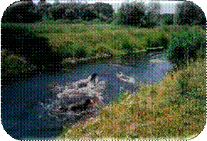 Naturburschen
