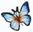 Schmetterling