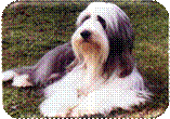 mignonette of Willowmead at Orora.jpg