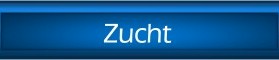 Zucht.jpg