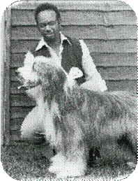 Felix Cosme, Beagold/England
mit Davealex Royle Baron
