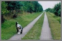 weiter Weg