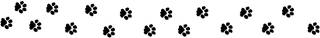 pawprints.jpg