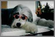 Ruby Brille