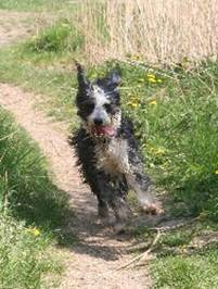 losd�sen - 130504Jki