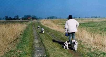 R�ckruf bei Freilauf