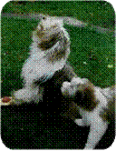 ein Kleiner und
sein gro�es Vorbild