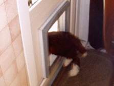 194 zur Hintert�r raus