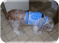 2019 Merlin mit Handtuch