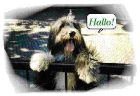 Hallo!