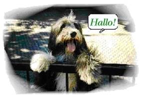 Hallo!