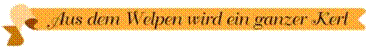 Aus dem Welpen wird ein ganzer Kerl