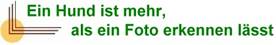 Ecke - ein Hund ist