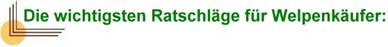 ecke - die wichtigsten Ratschlge