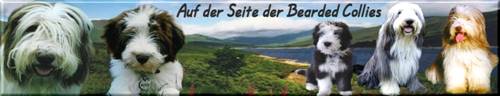 Auf der Seite der Bearded Collies