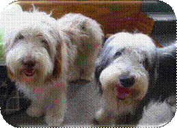monty und Mike.jpg
