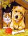 hund und katze, MnZ