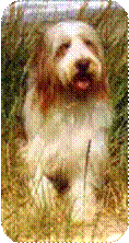 merlinE