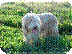 wohlf�hlen in der Natur CS