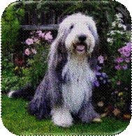 vergleich alter Typ 1