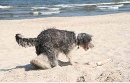 14 Jahre RKi Sand
