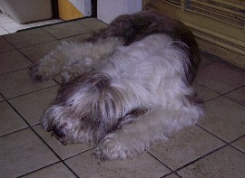 15 Jahre