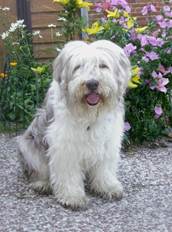 ersch�pft Me.jpg