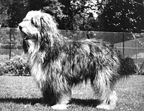 Bailie of Bothkennar.jpg