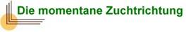 Ecke - die momentane