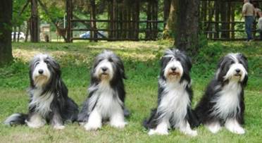 4 M�dels alter Typ - vKStr