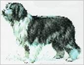 erkennen und bestimmen