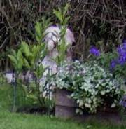 versteck
