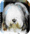 Augen verdeckt