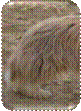 plattf��e hinten