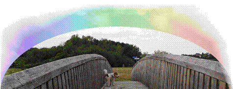 Darvin Regenbogenbrcke.jpg