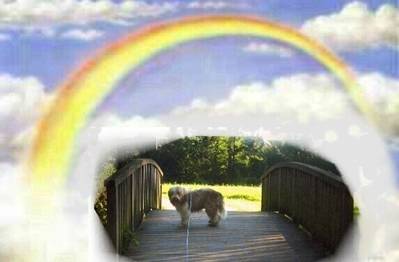 Regenbogenbrcke
