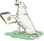 hundebrief