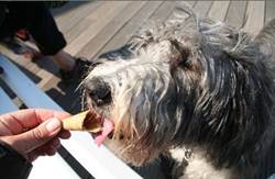 ruby eis